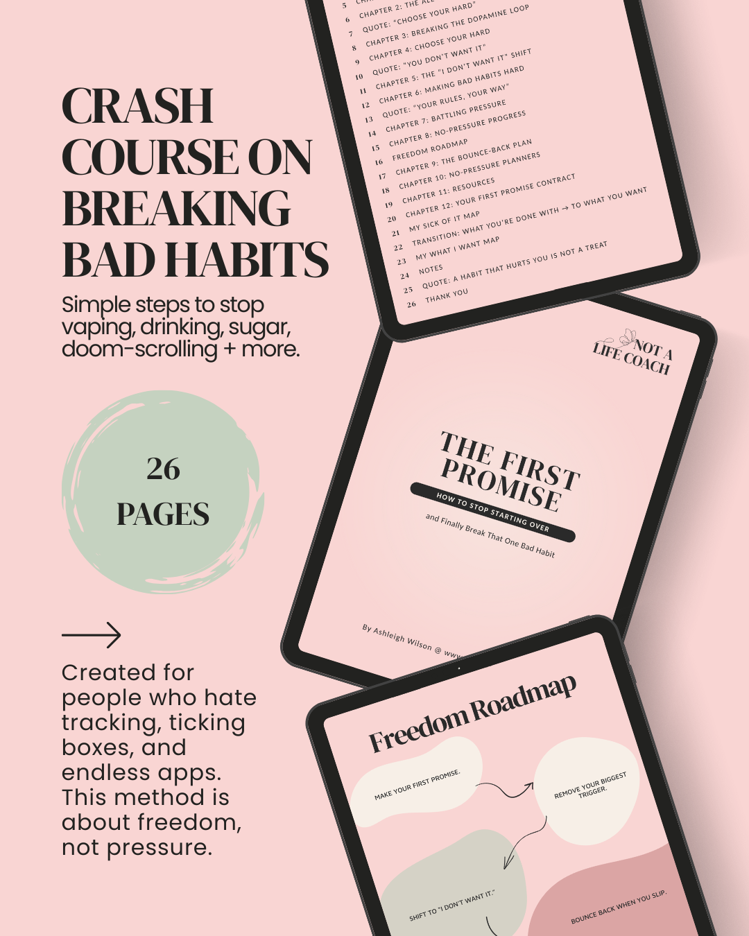 The First Promise: Crash Course on Breaking Bad Habits (Digital Download Ebook)