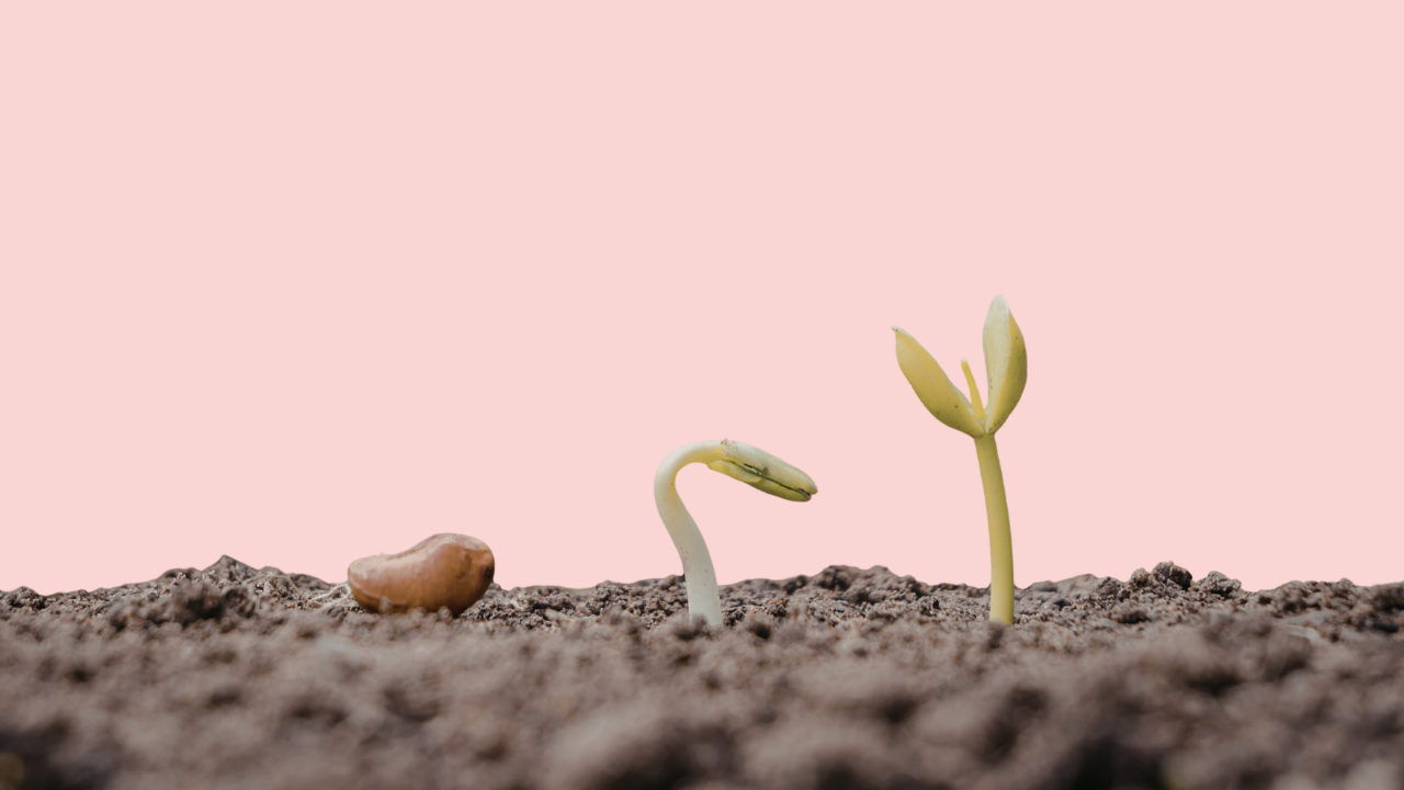 Grow yourself